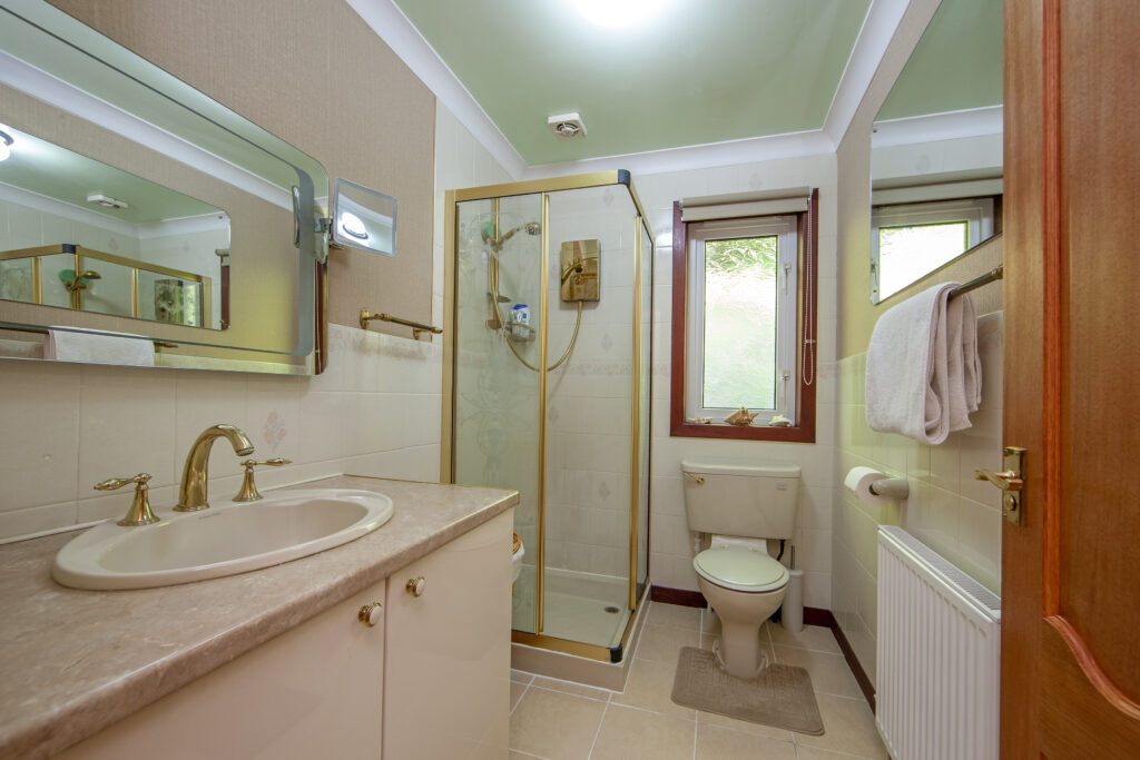 1Z6E2011 downstairs bathroom small