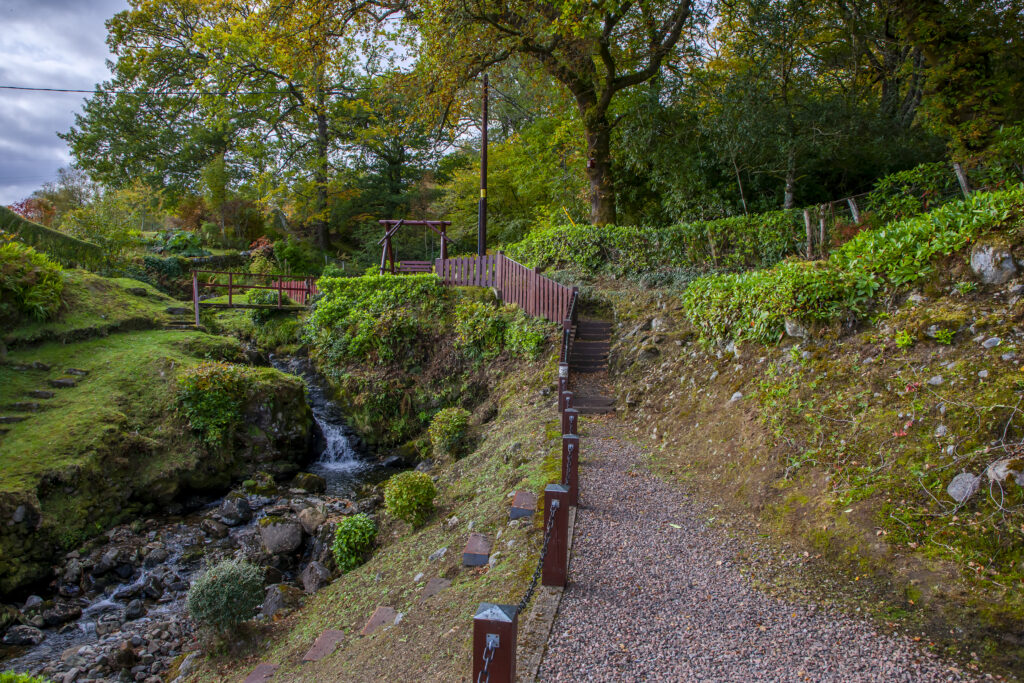 1Z6E2226-HDR top garden small
