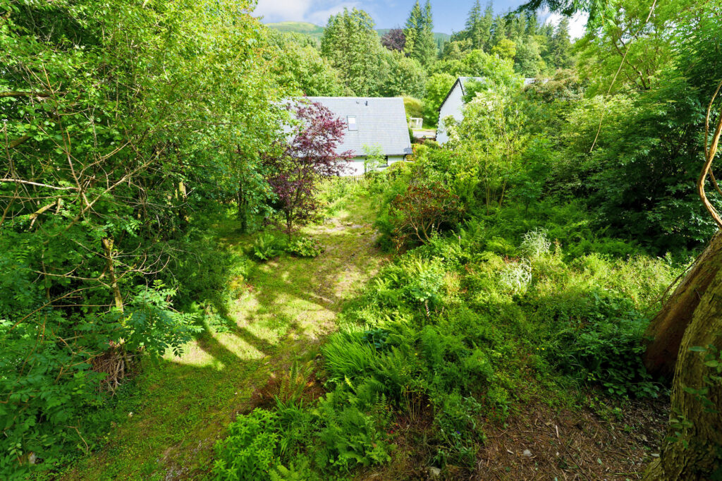 P1068590