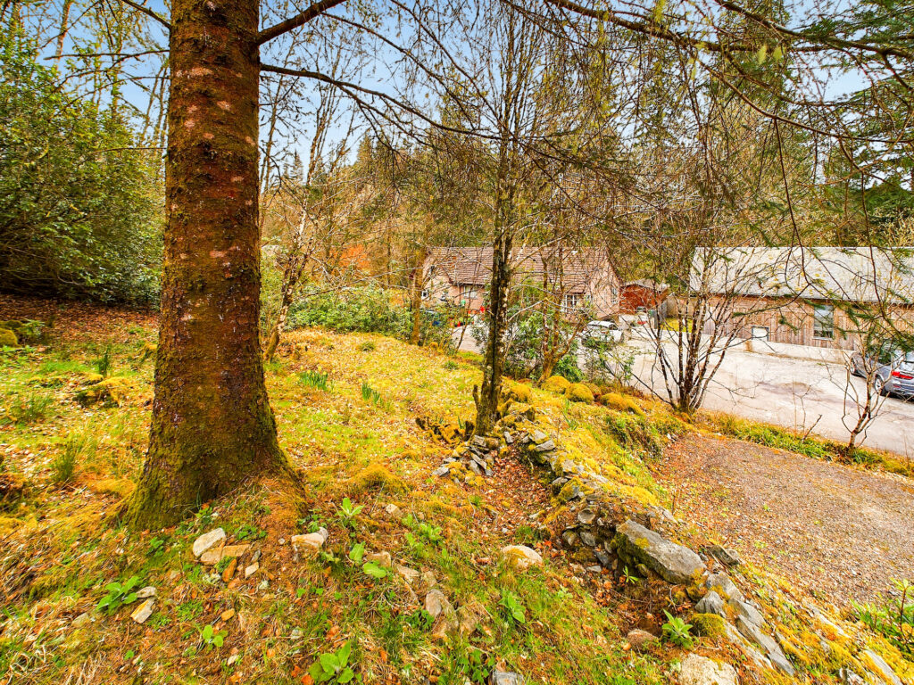 CAM02033G0-PR0038-STILL058