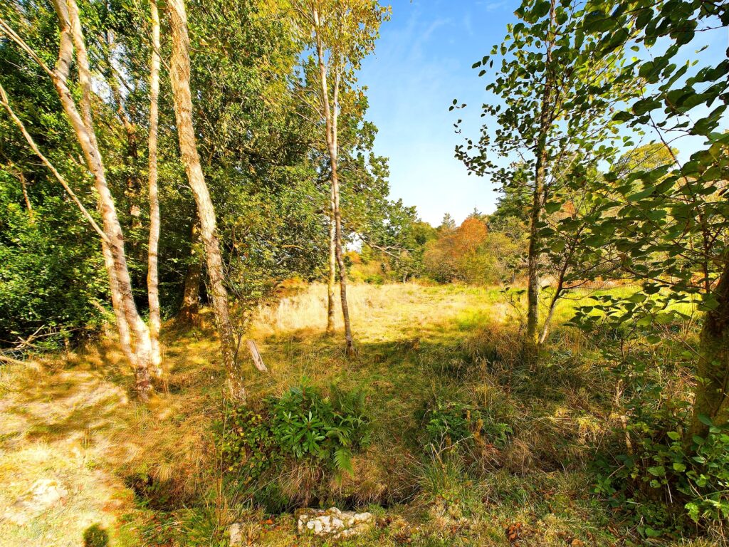 CAM02033G0-PR0082-STILL028