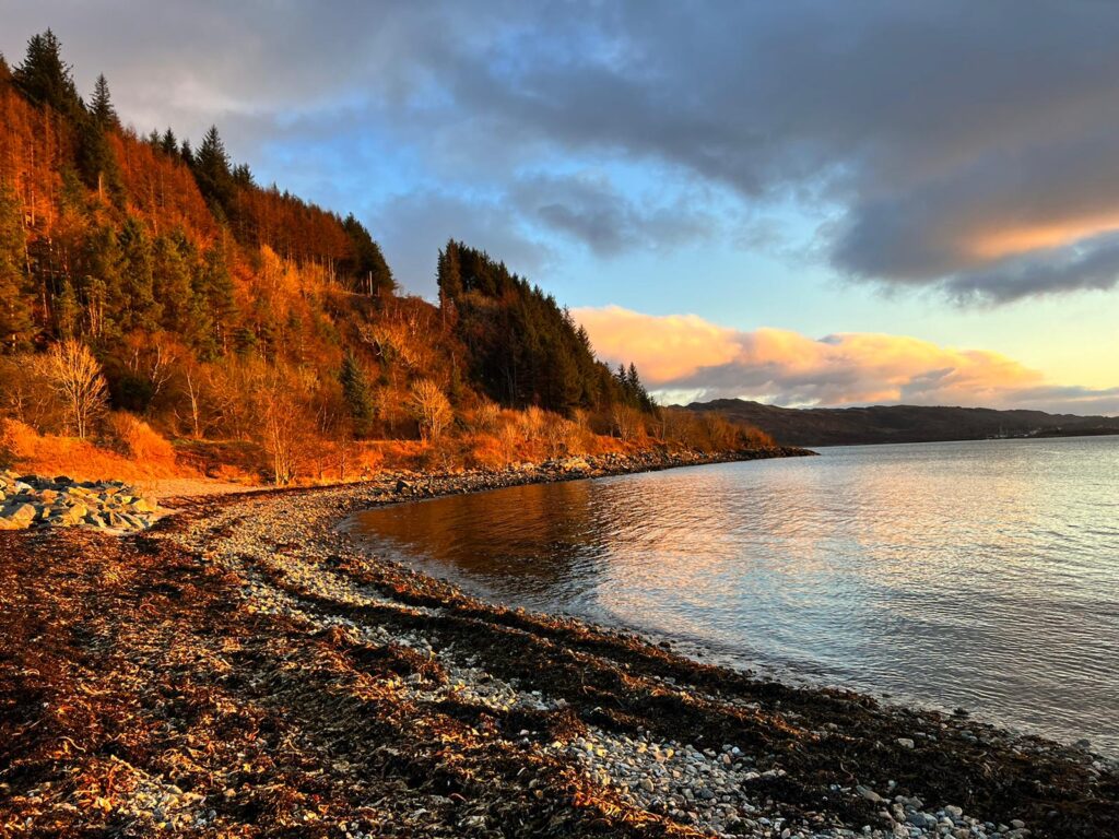 IMG-20220220-WA0005
