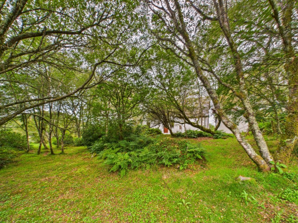 CAM02033G0-PR0164-STILL010