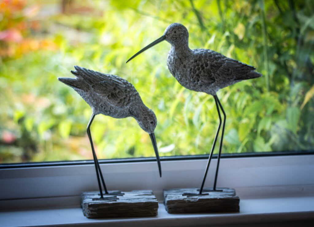 Curlew Cottage 003