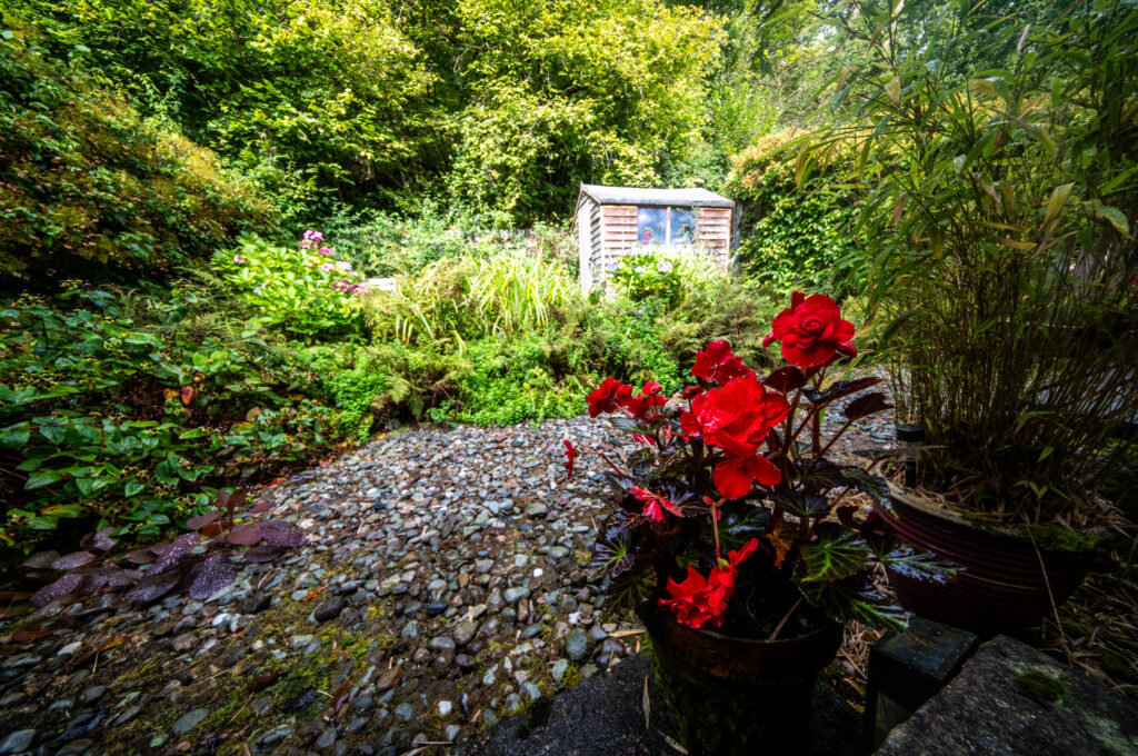 Curlew Cottage 008