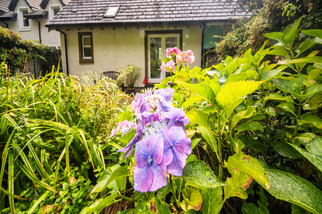 Curlew Cottage 010